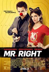 Un iubit mortal - Mr. Right (2015) Film Online Subtitrat