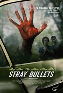 Stray Bullets (2016) Online Subtitrat in Romana