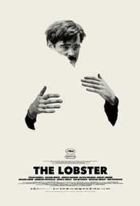 Homarul - The Lobster (2015) Film Online Subtitrat