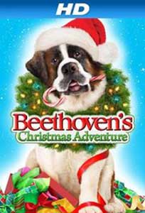 Beethoven's Christmas Adventure (2011) Online Subtitrat