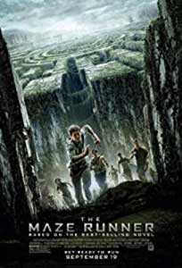 Labirintul Evadarea - The Maze Runner (2014) Film Online Subtitrat