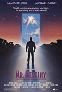 Domnul Destin - Mr Destiny (1990) Film Online Subtitrat