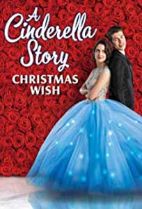 A Cinderella Story: Christmas Wish (2019) Online Subtitrat