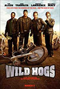 Wild Hogs (2007) Online Subtitrat in Romana in HD 1080p