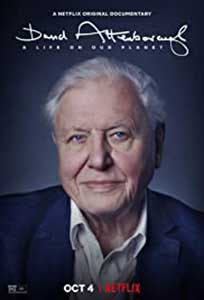 David Attenborough: A Life on Our Planet (2020) Online Subtitrat