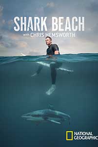 Shark Beach with Chris Hemsworth (2021) Documentar Online