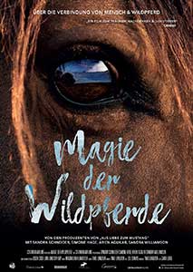 Magie der Wildpferde (2019) Documentar Online Subtitrat in Romana
