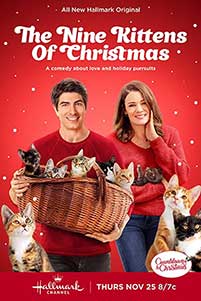 The Nine Kittens of Christmas (2021) Online Subtitrat in Romana