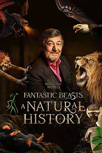 Fantastic Beasts: A Natural History (2022) Documentar Online Subtitrat