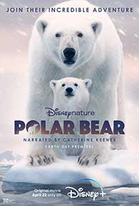 Polar Bear (2022) Documentar Online Subtitrat in Romana