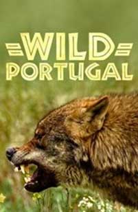 Wild Portugal (2020) Documentar Online Subtitrat in Romana